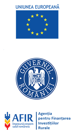 Fonduri Europene